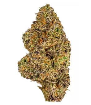 Super Good | Pink Runtz 14g