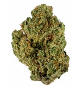 STIIIZY | Lemon Cherry Gelato 3.5g