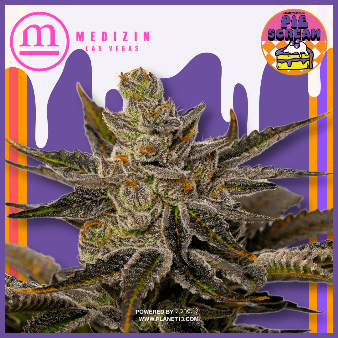 Medizin Piescream 3.5g Prepack