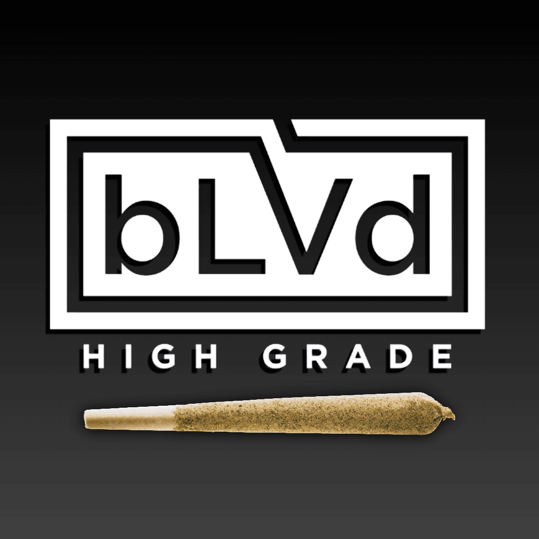 BLVD - 702 Headband Pre-Roll