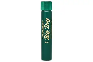 Dogwalkers - Preroll - Animal Scout (Sit) (IH)