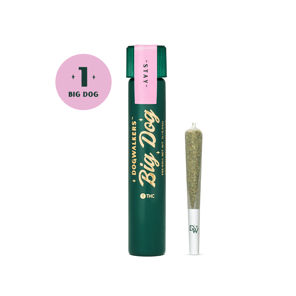 Dogwalkers Afternoon Delight (H) Pre-roll 1g