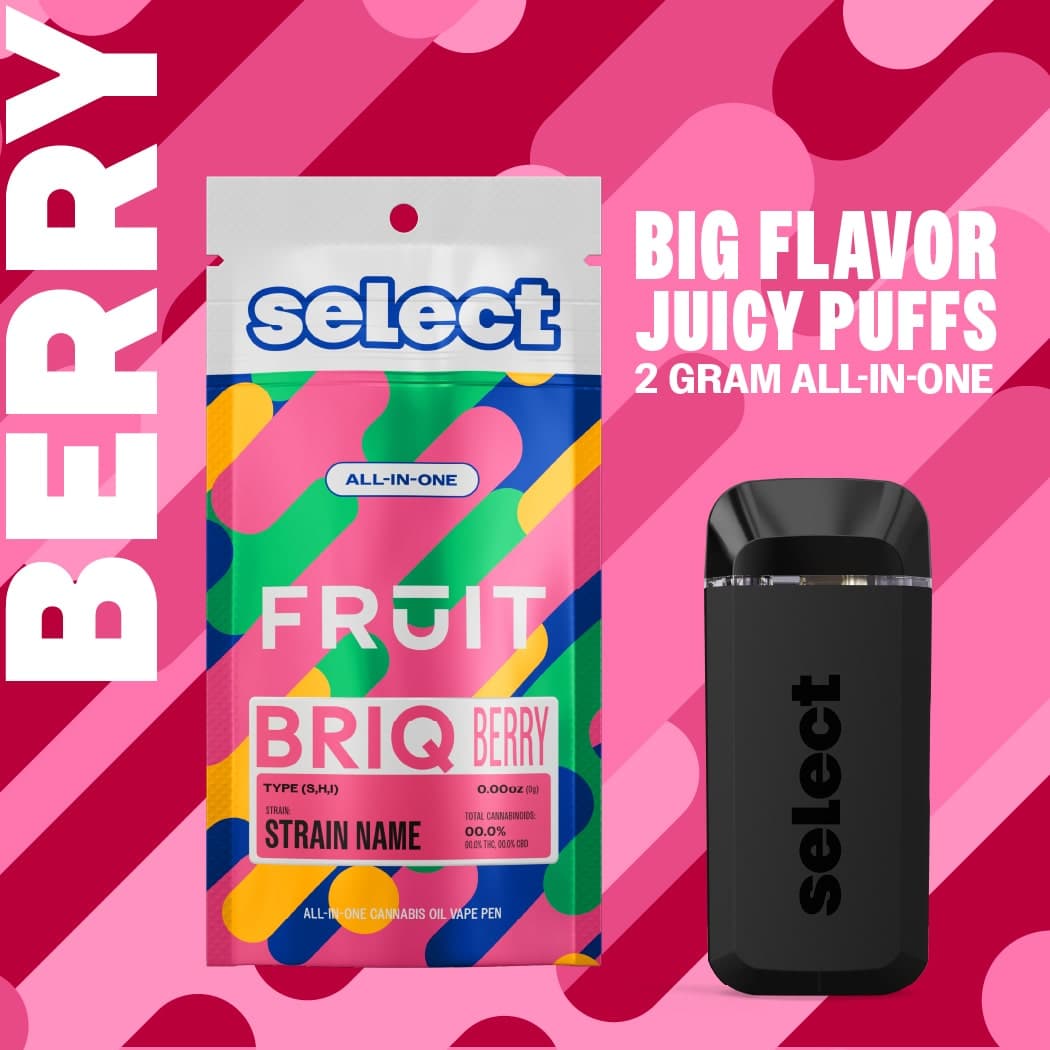 2g Distillate Fruit Briq (Huckleberry Jam)