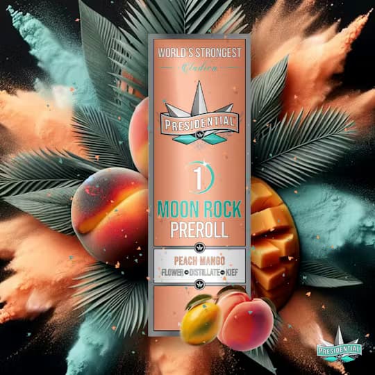 Presidential Peach Mango 1g Moon Rock Preroll