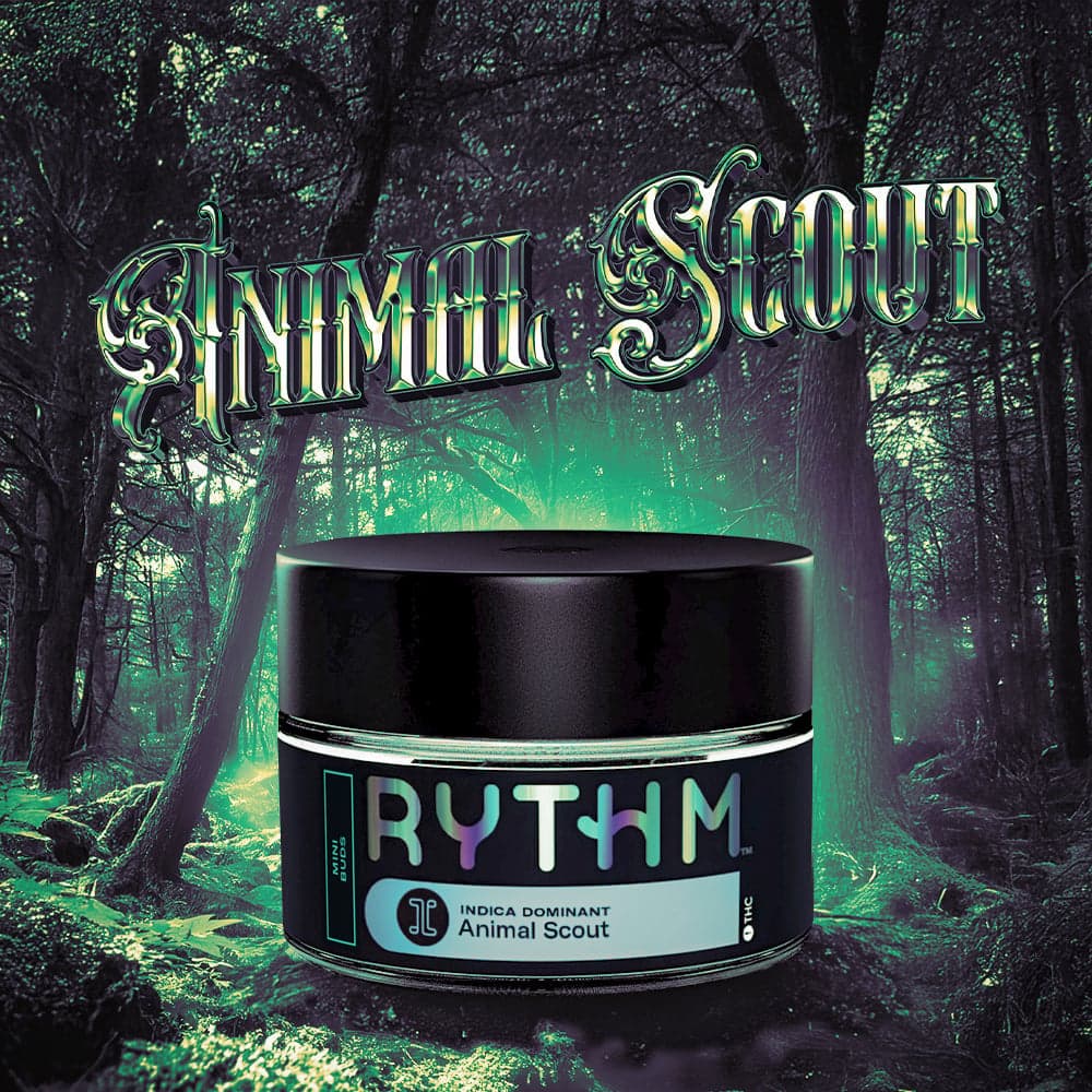Animal Scout