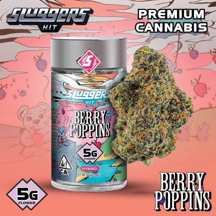 BERRY POPPINS JARRED FLOWER - 5G