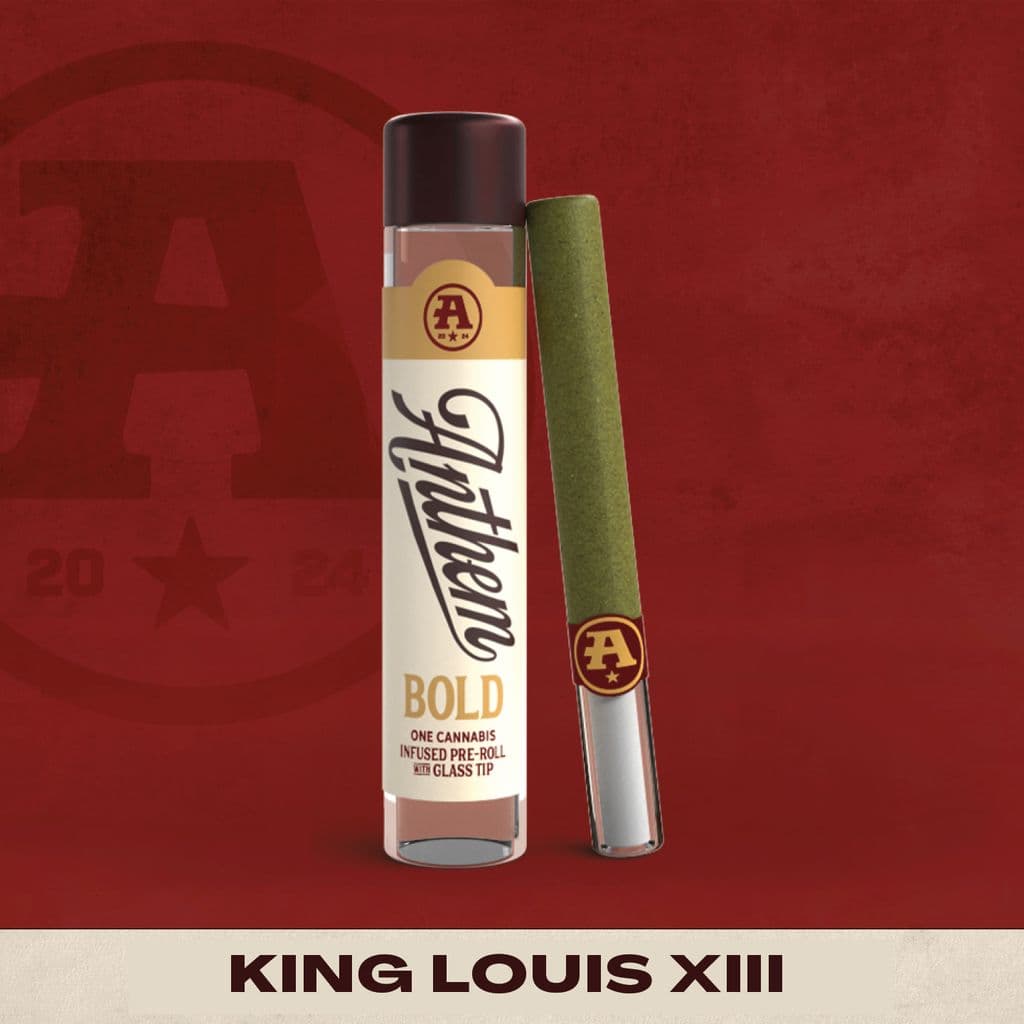 King Louis XIII