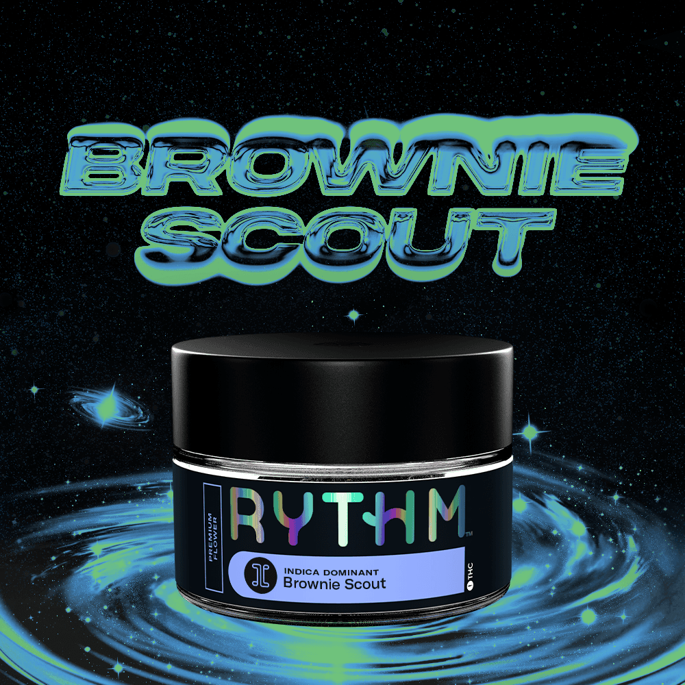 Brownie Scout