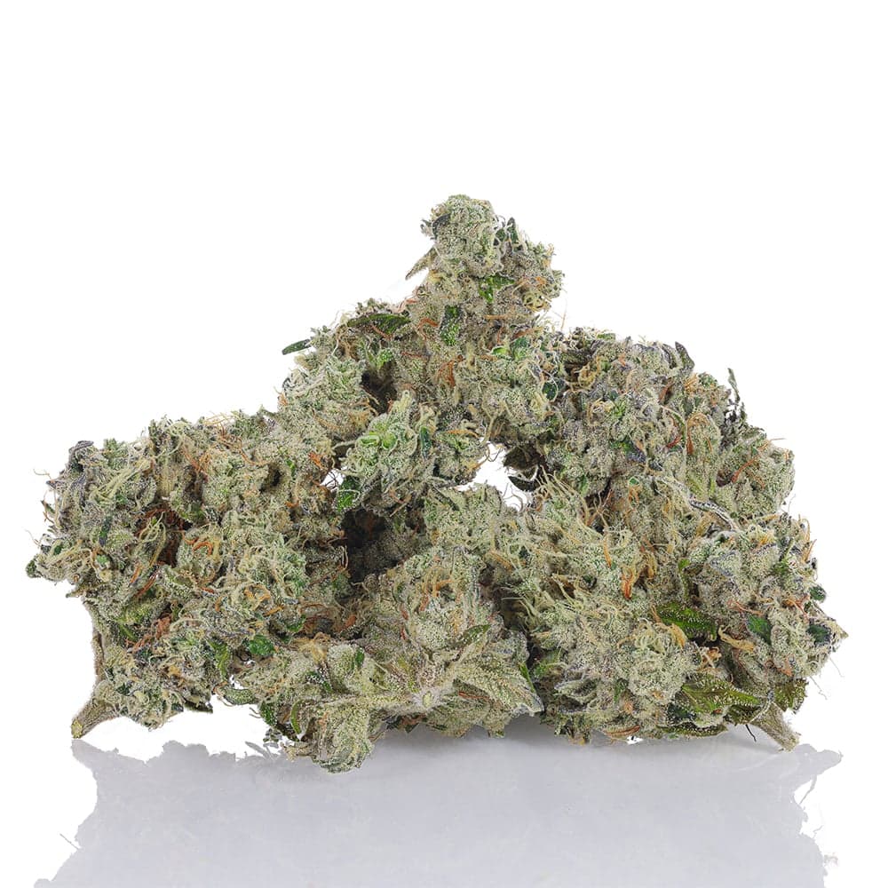 702 Headband