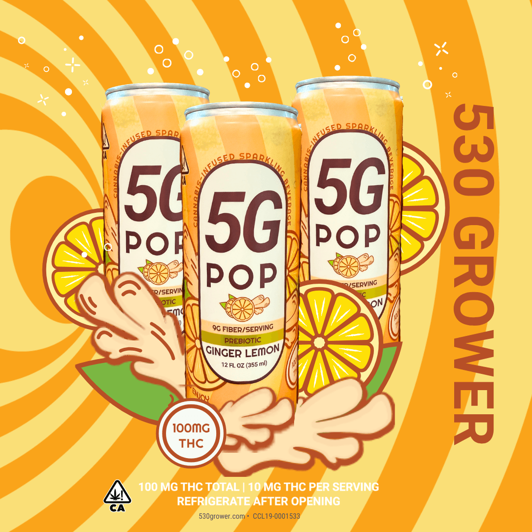 Ginger Lemon Pop (100mg)