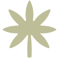 Bridge City Collective Weed Dispensary N Portland logo