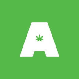 Dank City LA logo