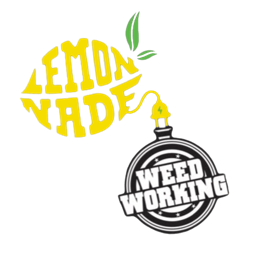 Lemonnade Dispensary Van Nuys logo